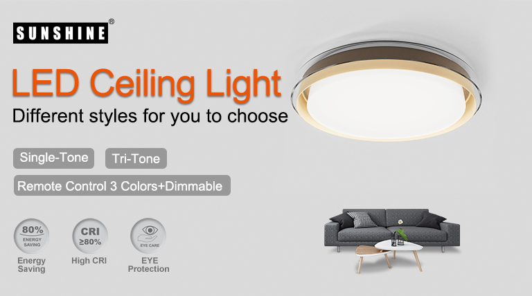 2 LED Ceiling Light_ENG_768x428